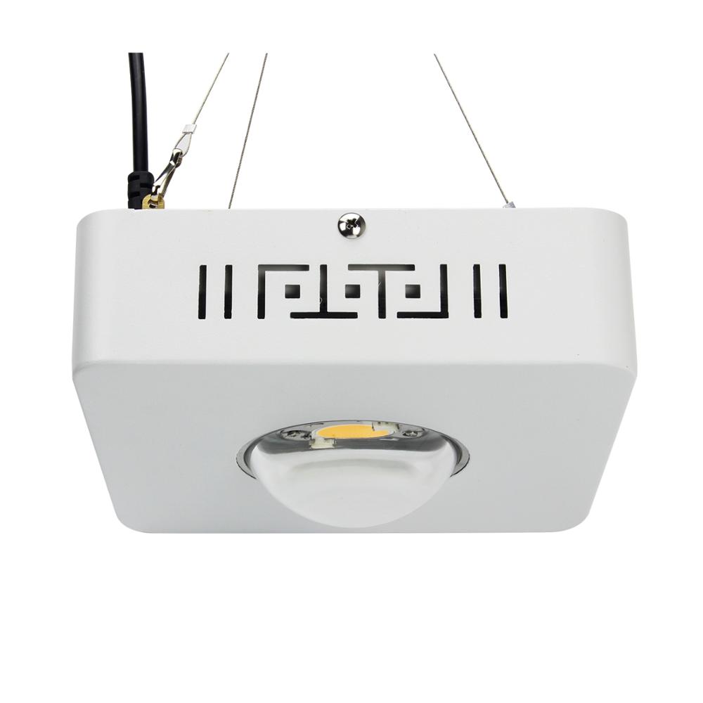 Best spectrum led grow light 100w meanwell driver with factory price