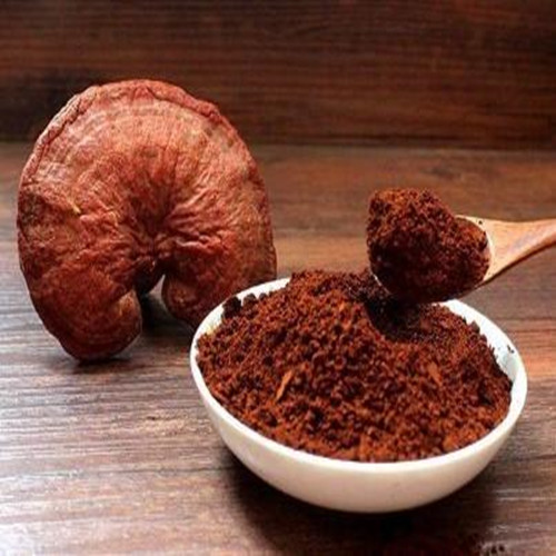 100% чистой оболочки Сломанной Ganoderma Lucidum Spore порошок