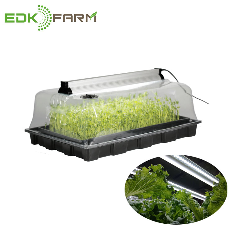 Microgreens aquaponics кормовые Гидропонные лотки для выращивания семян