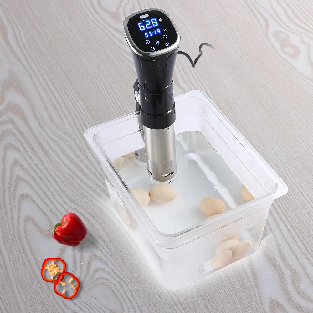 sous vide circulator ipx7 with wifi sous vide stick vacuum sealer factory in China