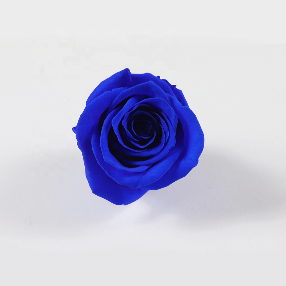 Best Selling Products Fresh Cut Flower Wedding Decoration Long Time Preserved Rose Flowers
