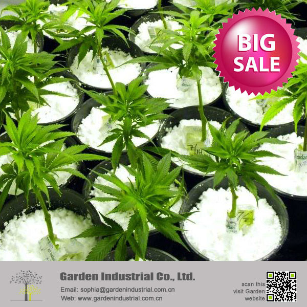 Расширенные подстилки для выращивания почвы Aquaponics