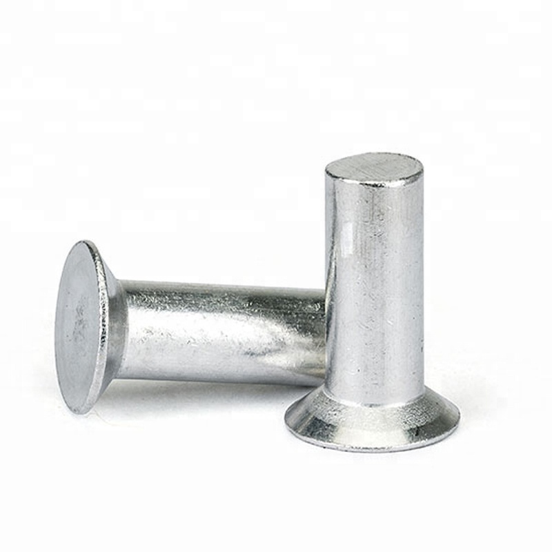 China Factory Stainless Steel SS 304 316 316L Flat Head Solid Rivet