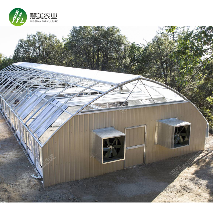 Blackout greenhouse chemical plants hemp greenhouse in US Canada