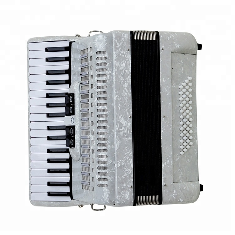 Most Popular Musical Piano Accordion