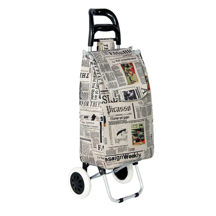 Cheap Foldable Grocery Shopping Bag Trolley Dolly Carts for Elderly