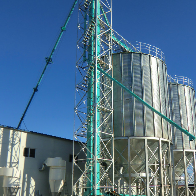 Bucket Elevator Used In Grain Storage Silo System