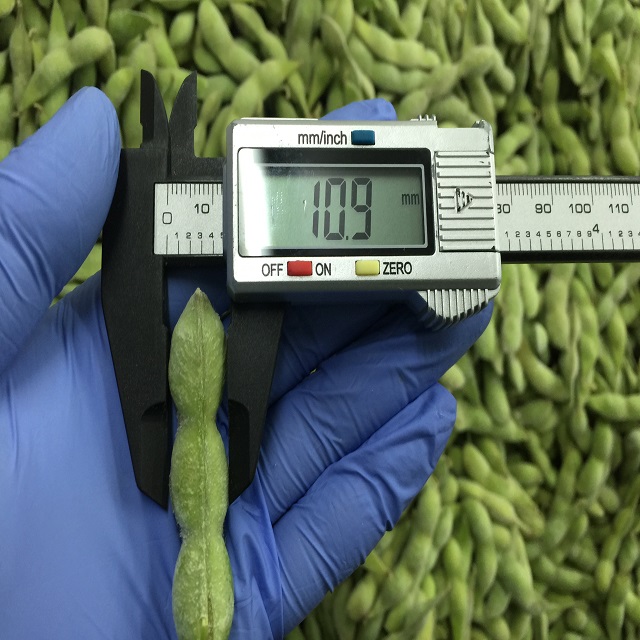 Замороженные соевые бобы Edamame IQF с поддонами