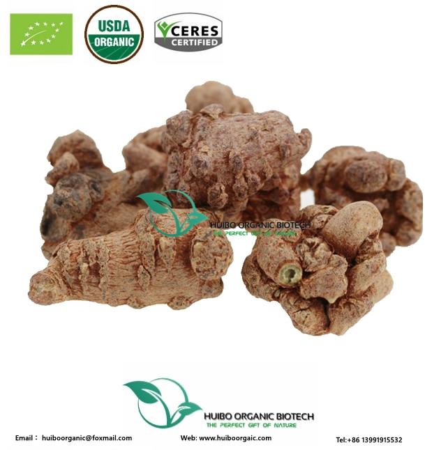 Sanchi / Panax Notoginseng корень/Radix Notoginseng