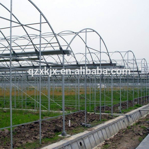 Multi-span Greenhouses Plastic Shed Cover Material greenhouse structure greenhouse for sale