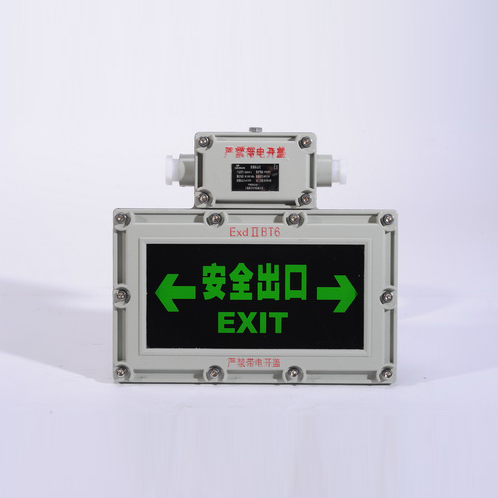 Led выхода сигнала IP65 чрезвычайных светодиодные фонари BZD310 2 кг