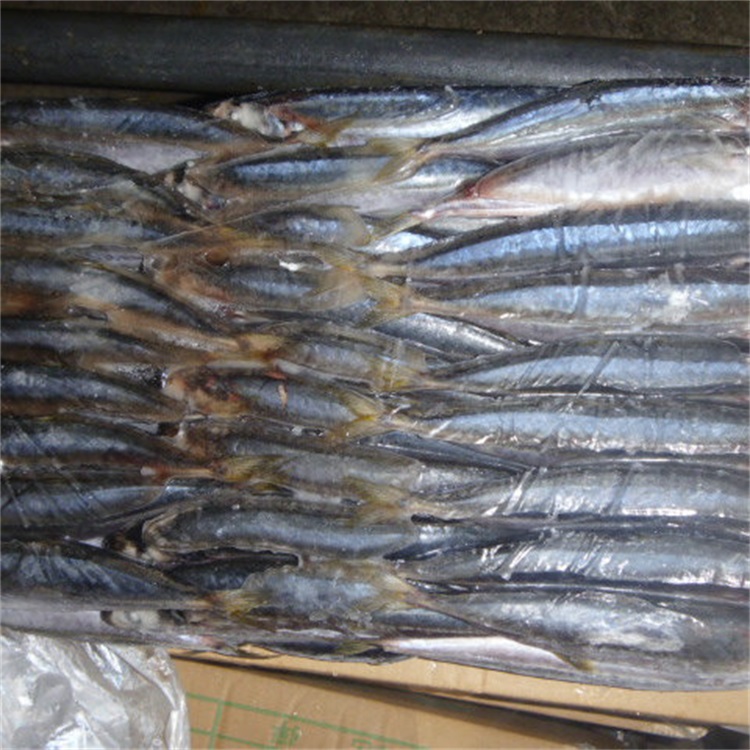 Оптовая продажа морепродуктов круглый scad скумбрия рыбы для продажи
