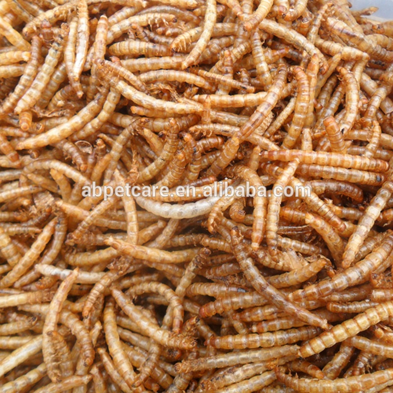 Mealworm лечения для курицы диких птиц и рыбы Сушеные Mealworms