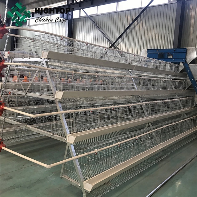 Trade Assurance A Type Galvanized Capacity 160 Birds Layer Battery Cage