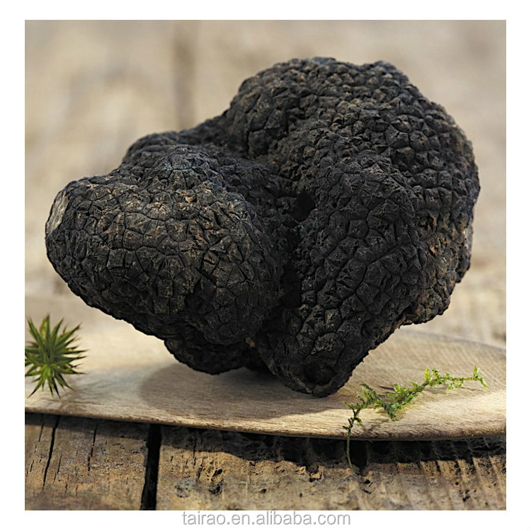 Клубни magnatum truffle для выращивания в китайском трюфле, горячая Распродажа, трюфель