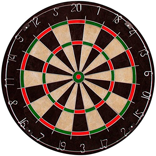 Пользовательская щетина Dartboard
