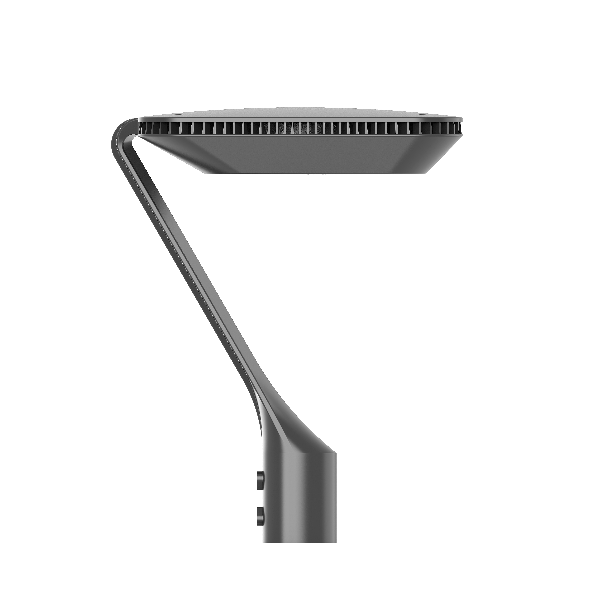 Newest Design LED Lamp 50W 100W Park And Garden Light