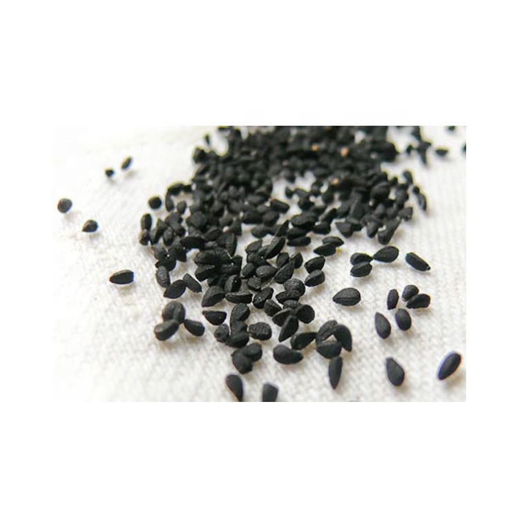 Egypt Spice Wholesale Best Price Black Nigella Seeds