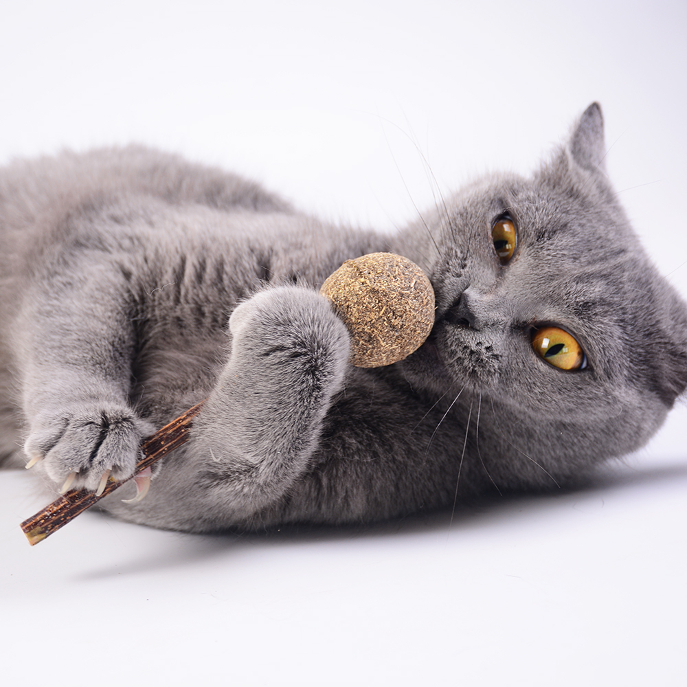 Милые жевательные игрушки для кошек, кошачья мята, леденец, кошачий зуб, моляр для чистки