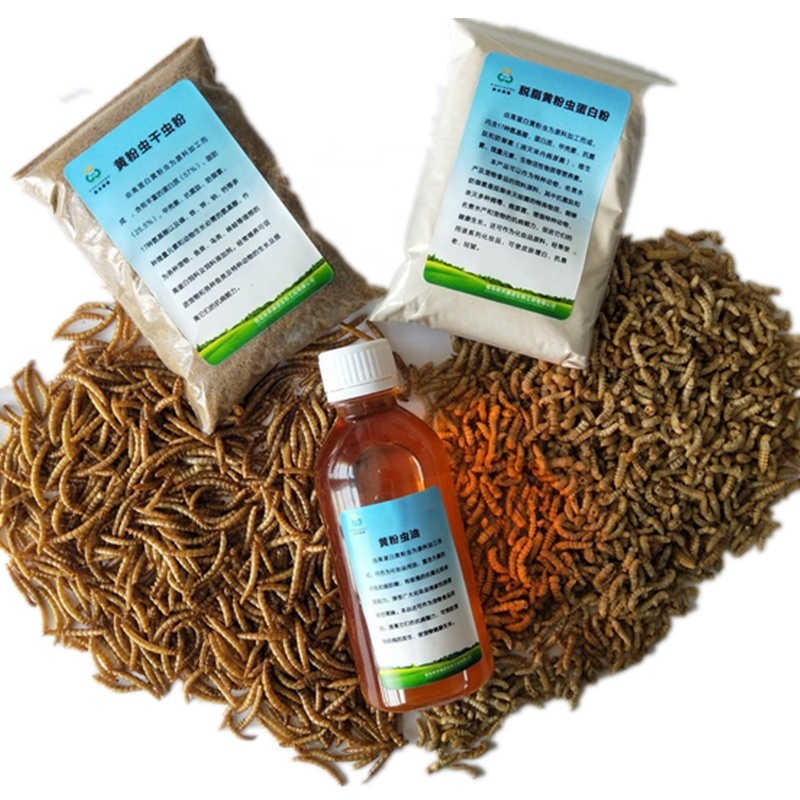 High Protein Feed Dried Mealworm Pupa Fishing Meal