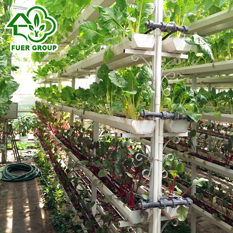 Оптовая продажа полный гидропоники желоба Aquaponics растущих систем