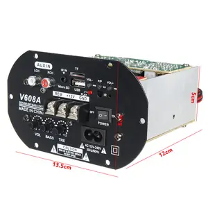 New 80W High Power Bass Car Subwoofer Hi-Fi Amplifier Board TF USB 12V/110V-220V Home Theater Amplifiers