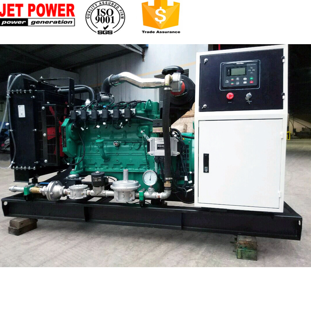 10kva 15kva 20kva 25kva 30kva малой мощности генератор биогаза цена во Вьетнаме