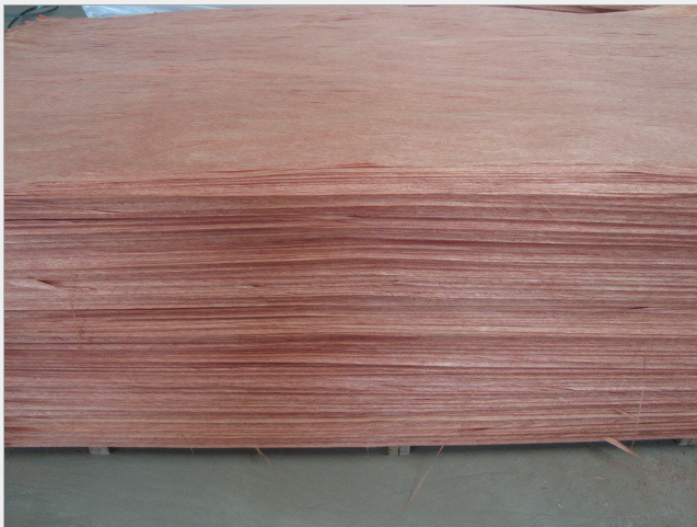 Gurjan face veneer / natural wood veneer for plywood