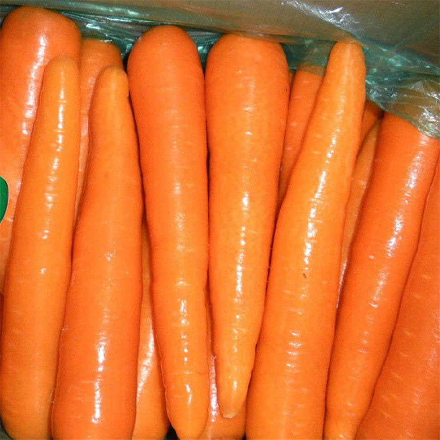 Свежий стиль и увлажняющий Овощной продукт типа свежей моркови