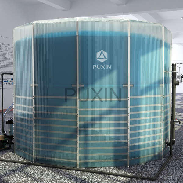 Puxin 15m3 Биогазовая система для анаэробного пищеварения биомассы