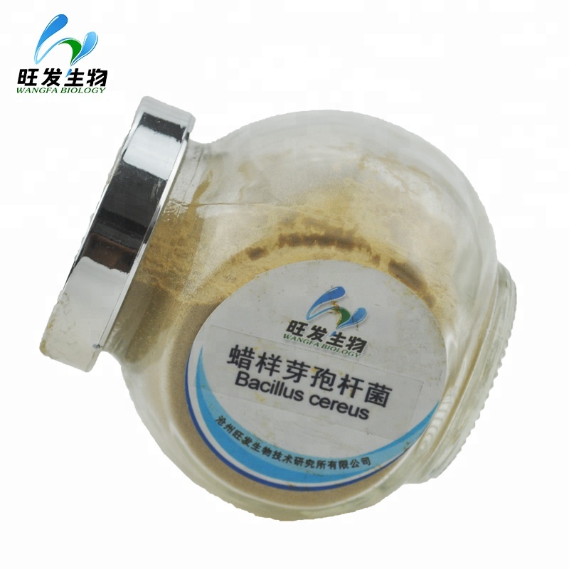 Кормовой порошок для биоудобрений Bacillus Cereus