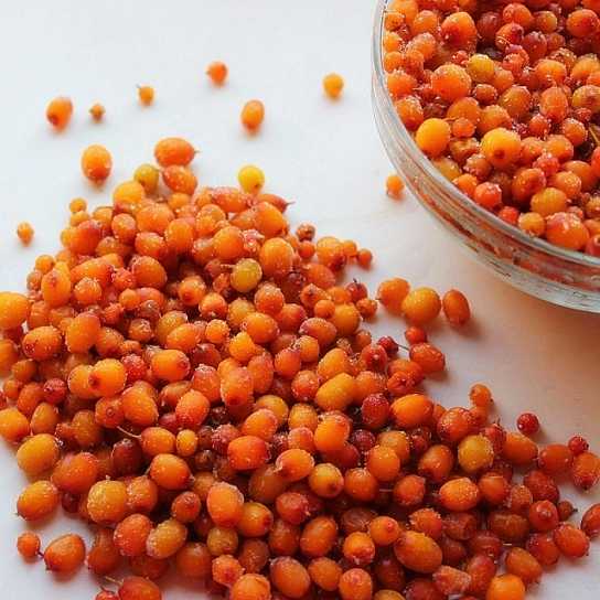 IQF Sea Buckthorn Fresh Frozen