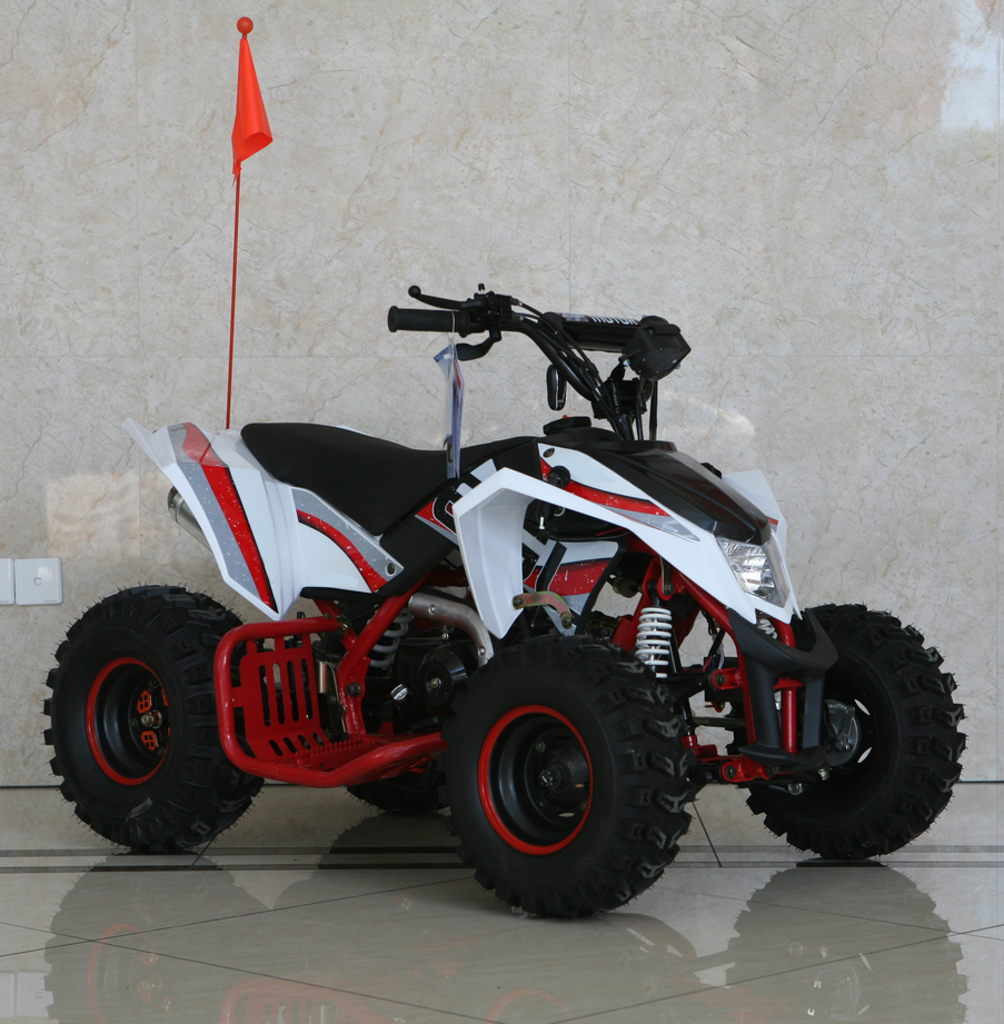 Спортивный квадроцикл 110cc quad EGL MADIX