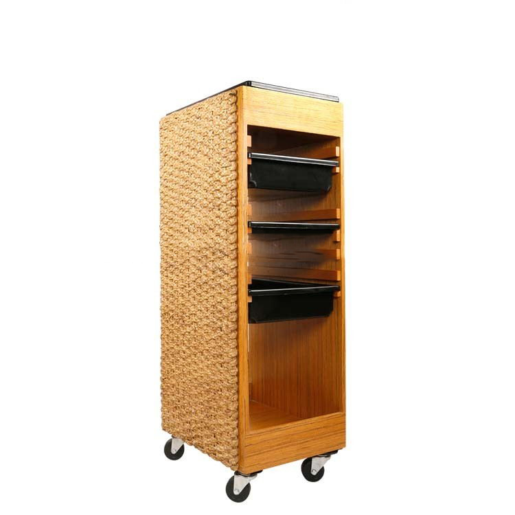 Hot sale hair salon equipment trolley large capcity beauty salon working trolley cart