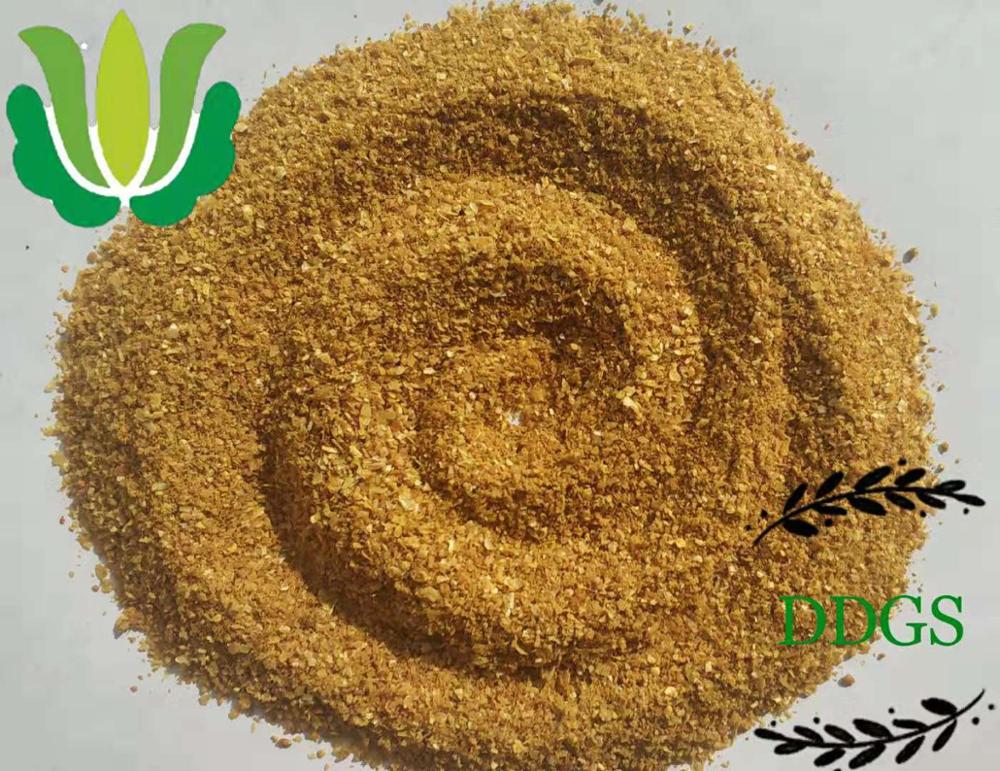 Корм для животных Кукуруза DDGS для корма свиней
