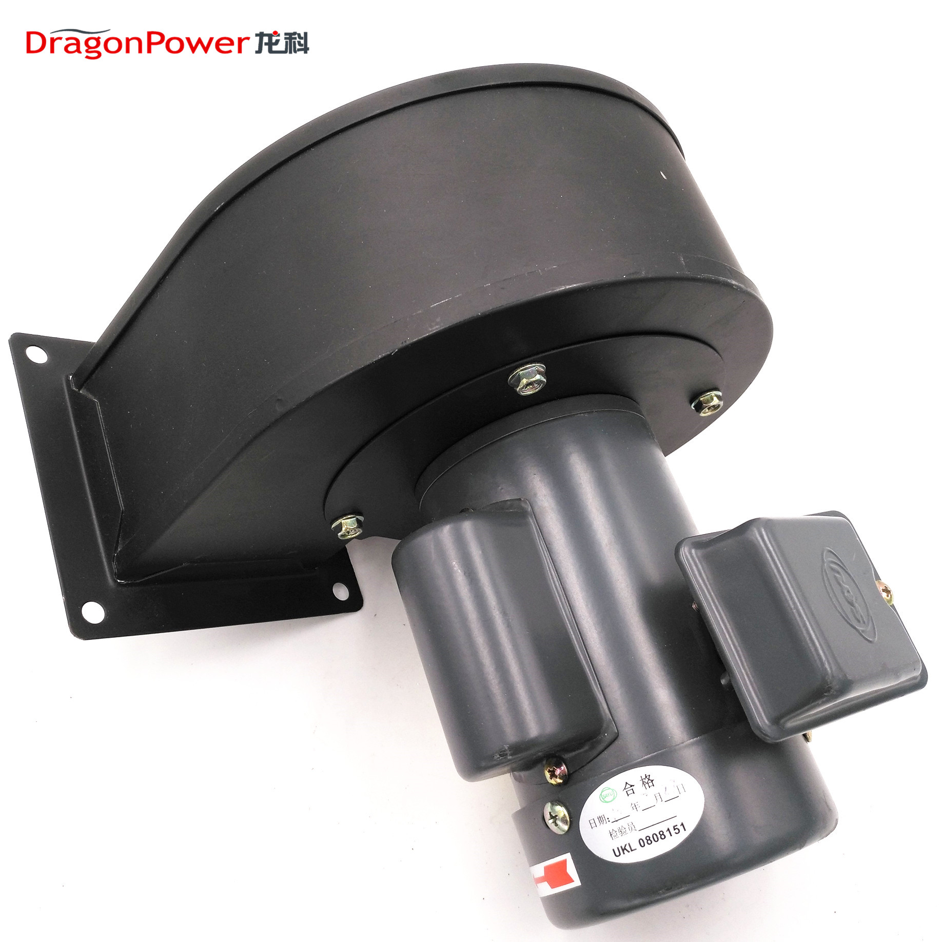 DragonPower Industrial CY125, CY127, CY100, CY180 CY200 воздуходувка для нагревателя