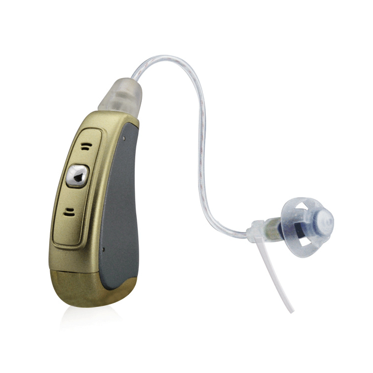 Lenx 30 Цифровые слуховые аппараты RIC для потери слуха лучшие Дешевые ric слуховые аппараты для глухих