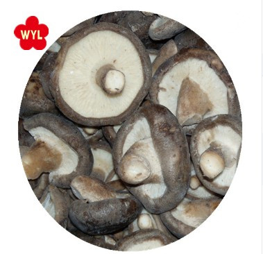 Замороженные грибы Shiitake по выгодной цене, 2021