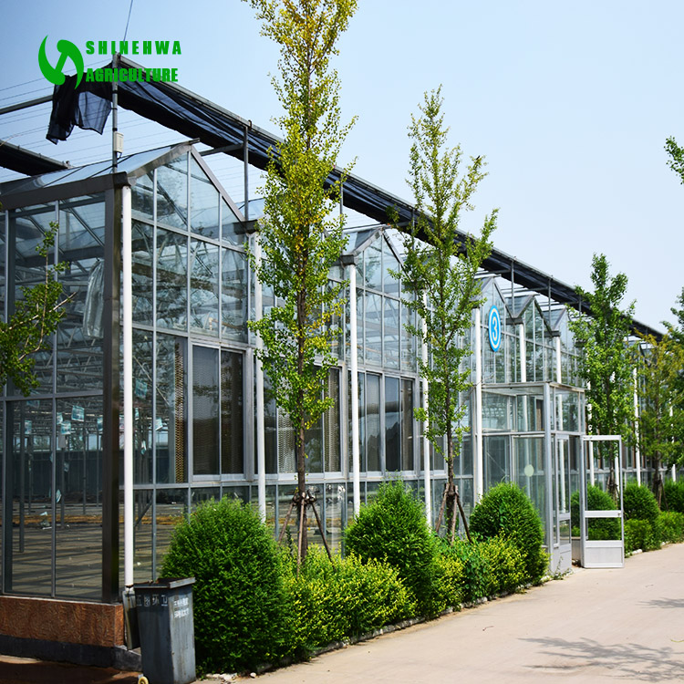 Complete polycarbonate glass agricultural greenhouse turnkey project for lemon growing
