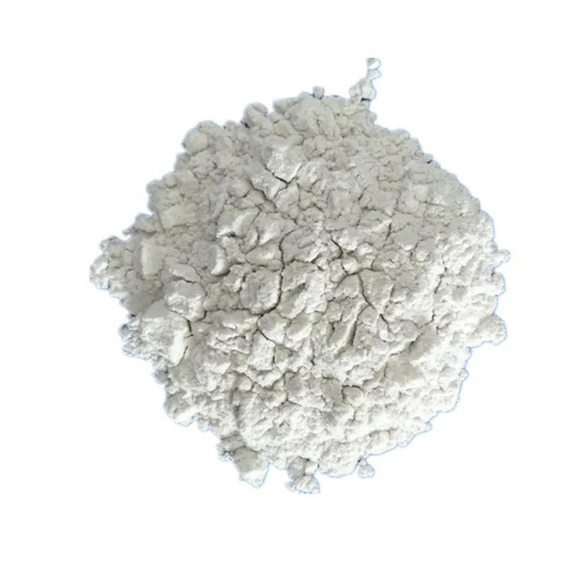 Diatomite With Widely Application-Diatomaceous Earth Powder