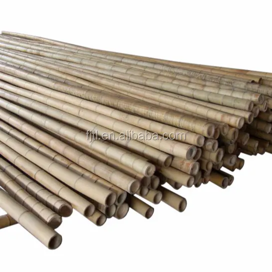 Plant Stake Support Raw Material Bamboo Cane