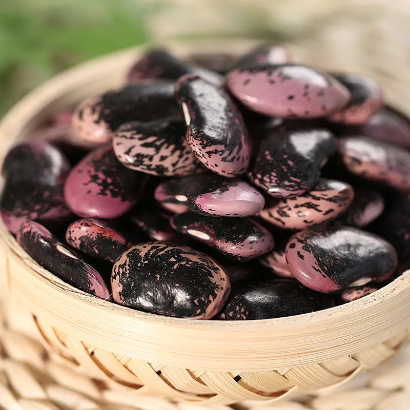 China origin large black speckled kidney bean factory price