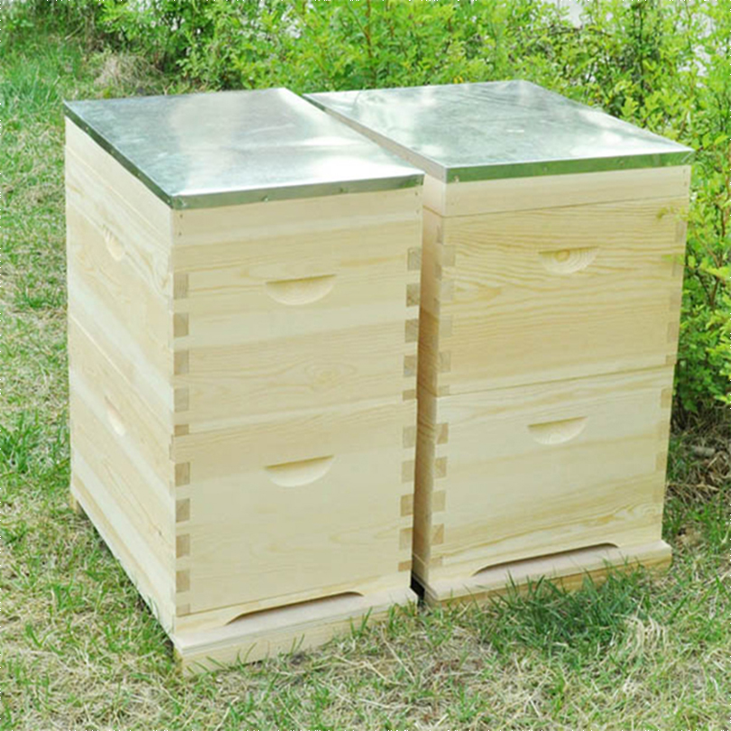 Langstroth пчелиный улей коробка австралийская пчелиный улей