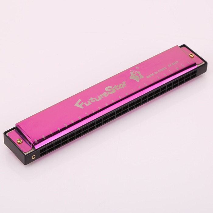 Professional Educational Kids Adult 24 Holes Mouth Organ Harmonica For Sale