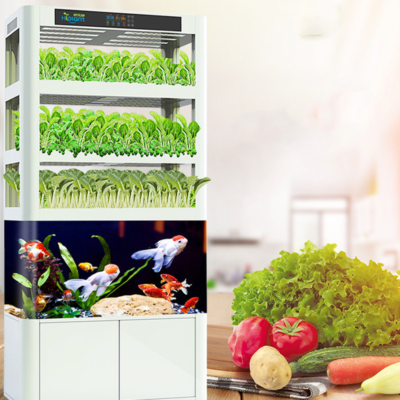 Новые идеи продукции 2019 Интеллектуальный инвентарь коммерческие системы выращивания аквапонных ферм