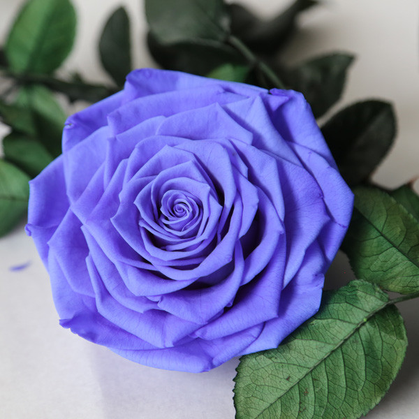 Лучший Forever Rose стеклянный чехол для цветочной композиции из китайского цветочного рынка
