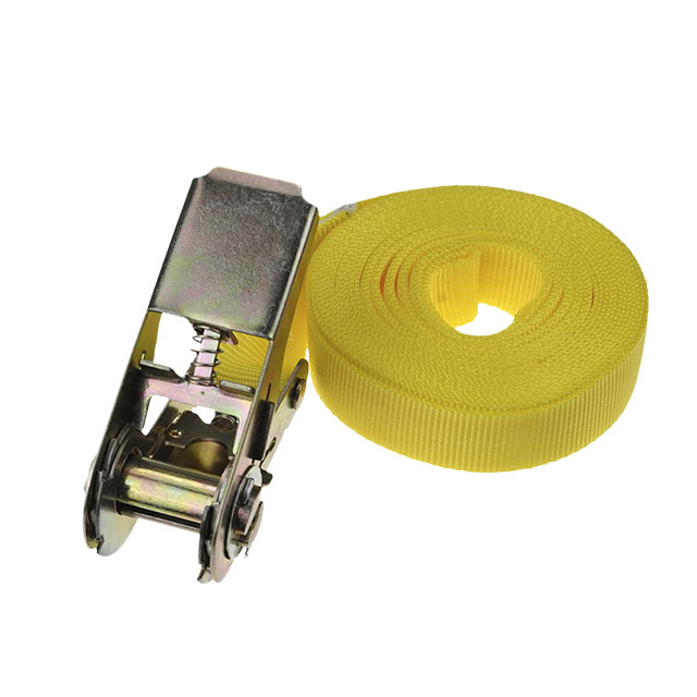 Economic 25mm 1" GS certified spanngurt cargo tie down lashing ratchet belt