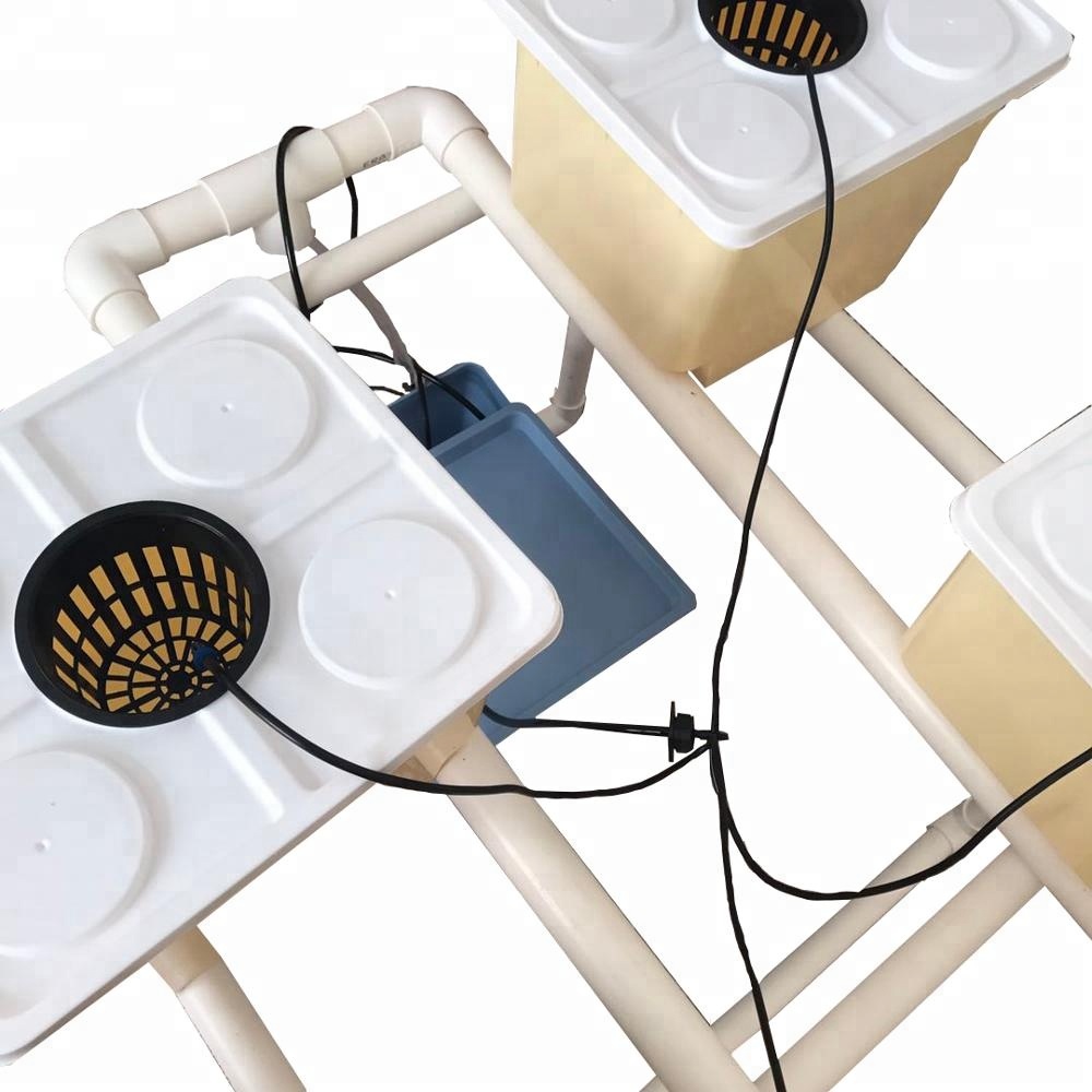 Cheap Bate Bucket Dutch Bato Ducket System Hydroponic Growing Systms