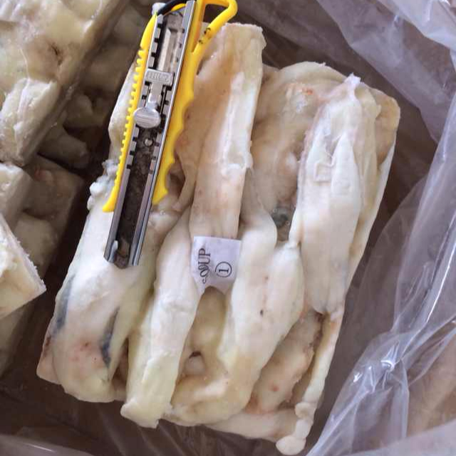 Замороженные икру свежие кальмарные яйца на продажу