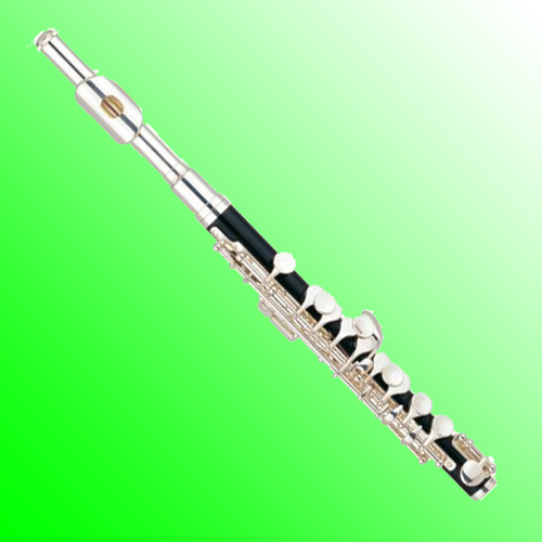 Piccolo/Wind Instrument Piccolo With Silver Plated